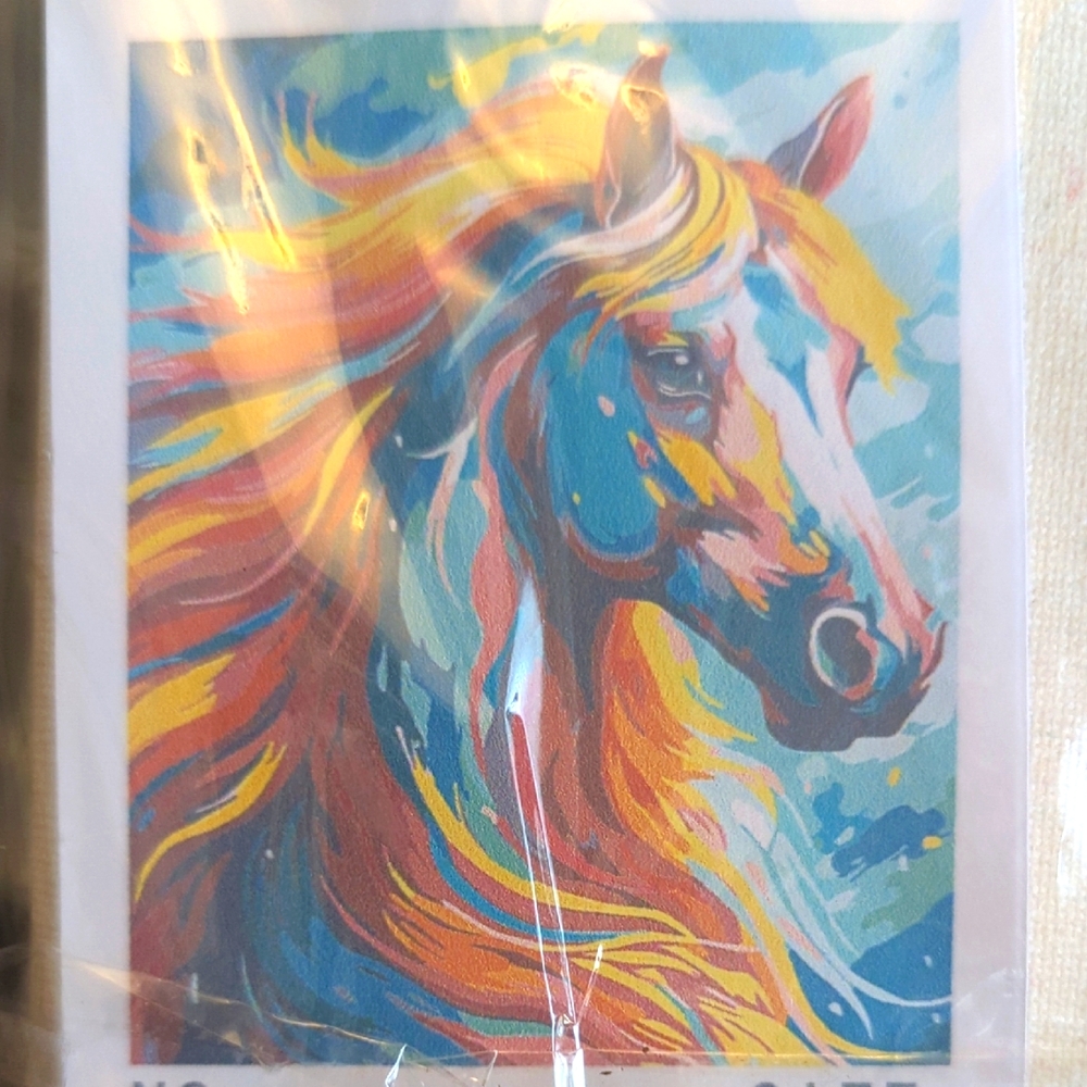 Canvas Paint By Number Horse 16x20
